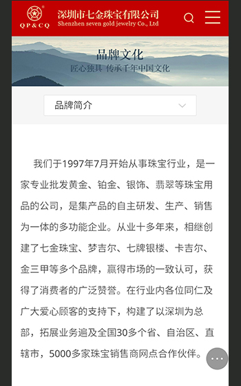 七金珠宝官网案例图片2