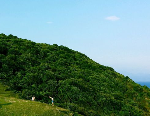 旅游网站建设